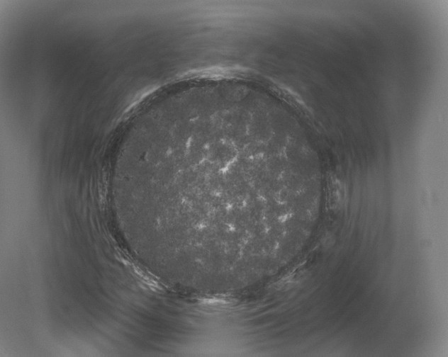 X0000080671158200612221109