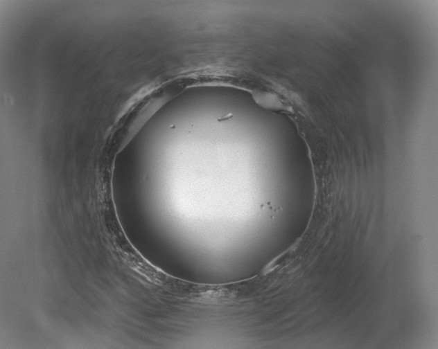 X0000080671160200612221109