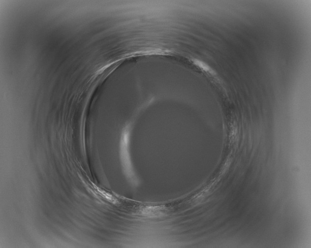 X0000080671161200612221109