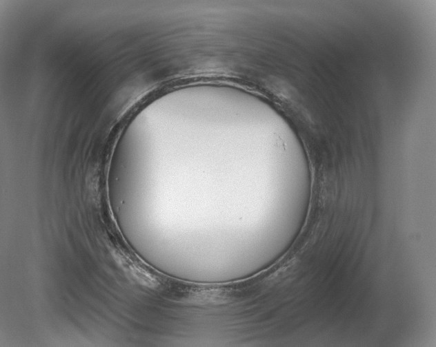 X0000080671162200612221109