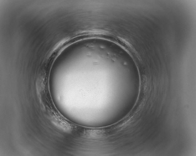 X0000080671163200612221109