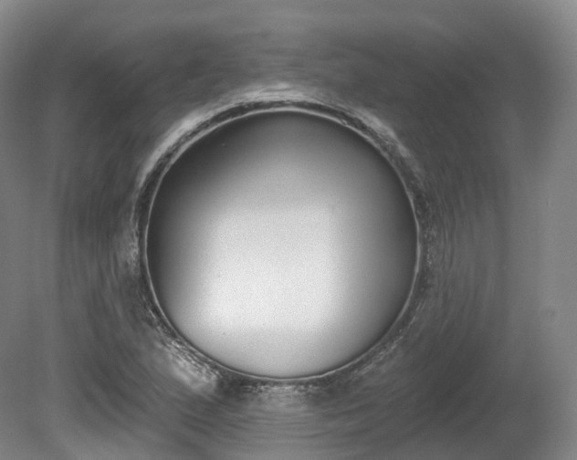 X0000080671167200612221109