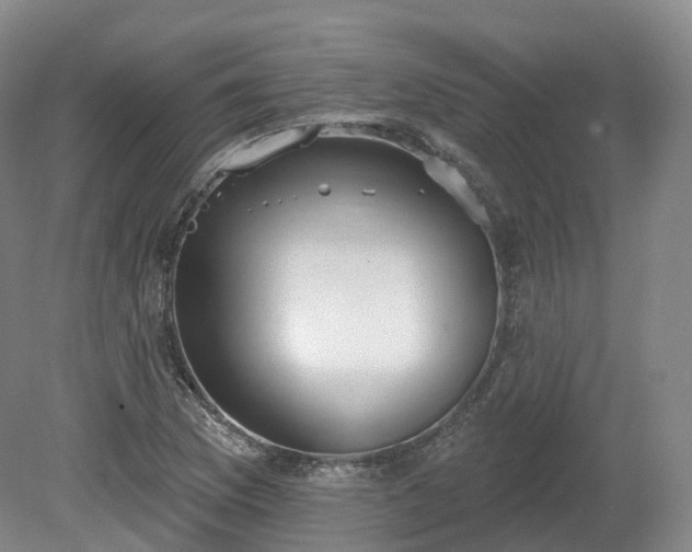 X0000080671169200612221109