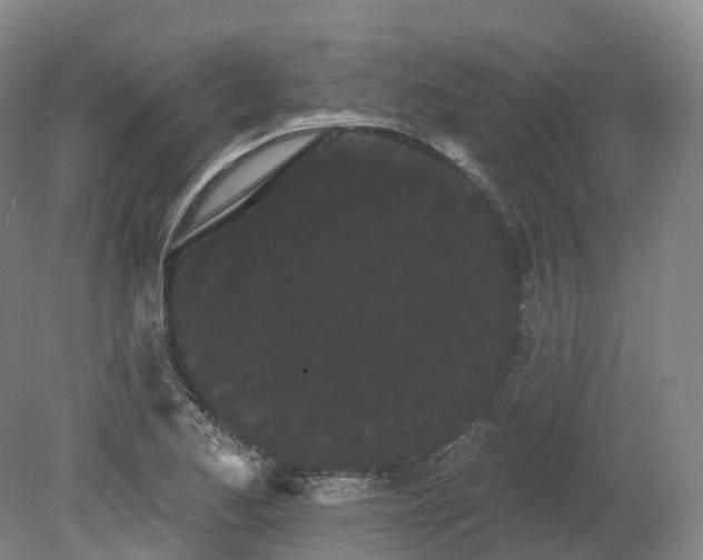 X0000080671173200612221109