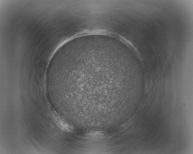 X0000080671174200612221109