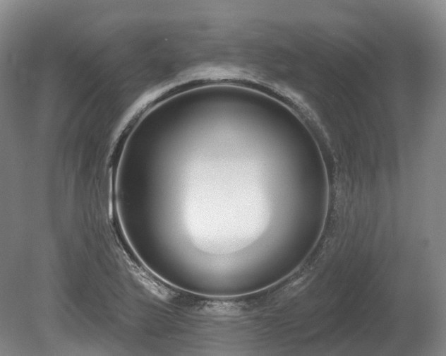 X0000080671175200612221109