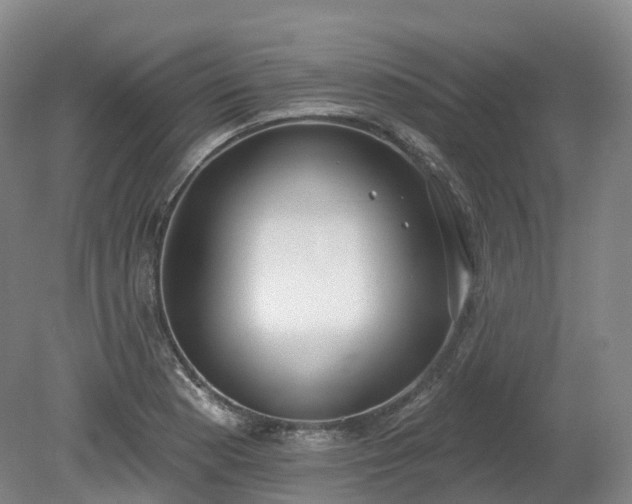X0000080671177200612221109