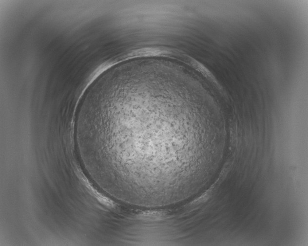 X0000080671178200612221109