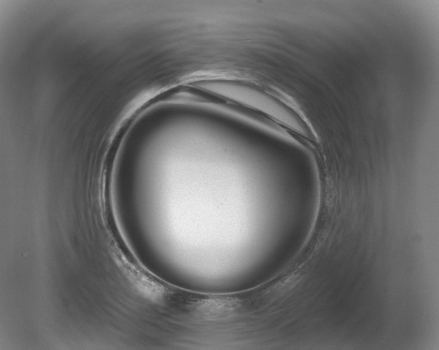 X0000080671179200612221109