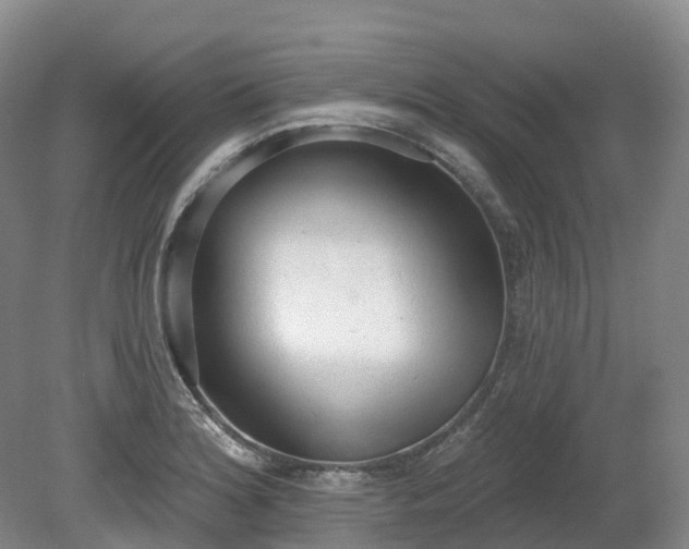 X0000080671180200612221109