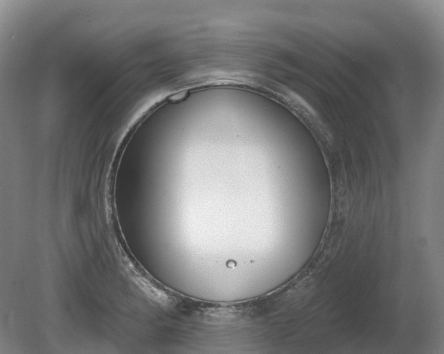X0000080671182200612221109