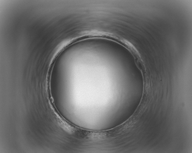 X0000080671183200612221109