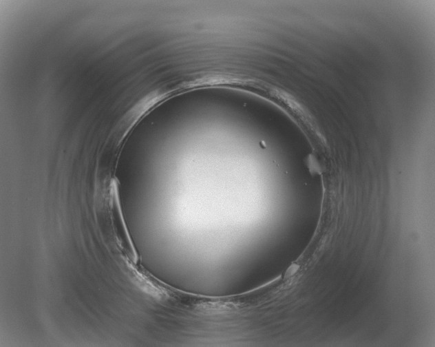 X0000080671185200612221109