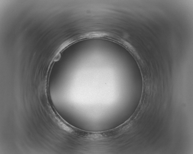 X0000080671186200612221109