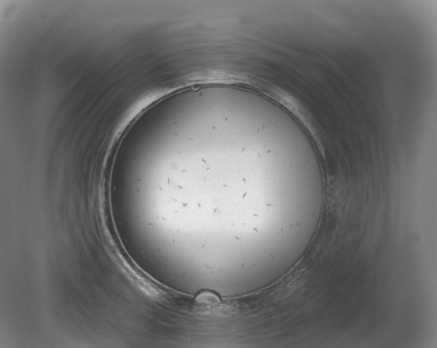 X0000080671187200612221109