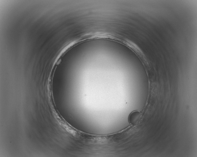 X0000080671190200612221109