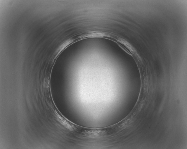 X0000080671193200612221109
