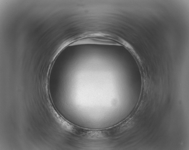 X0000080671194200612221109