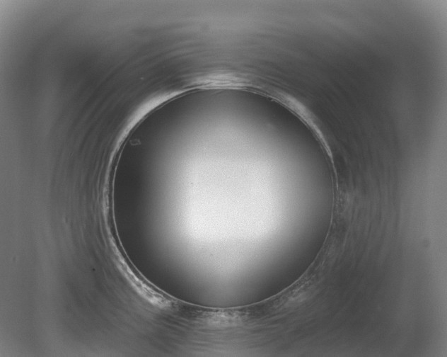 X0000080671195200612221109