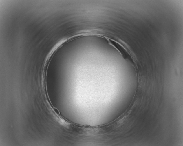 X0000080671196200612221109