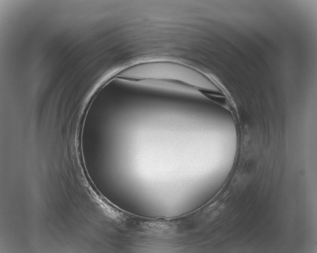 X0000080671197200612221109