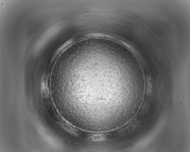 X0000080671198200612221109