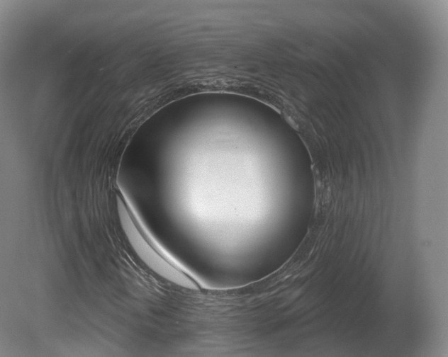 X0000080671202200612221108