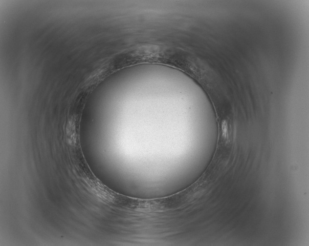 X0000080671203200612221108