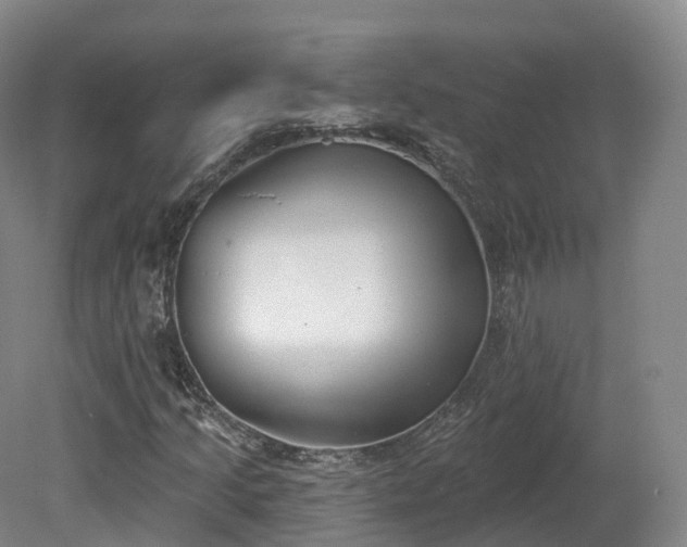 X0000080671205200612221108