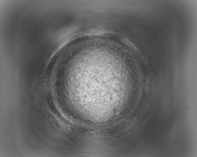 X0000080671208200612221108
