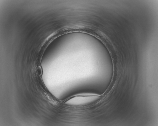 X0000080671210200612221108