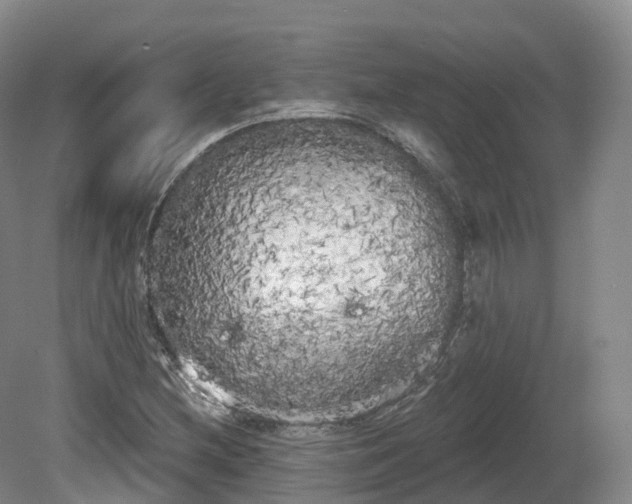 X0000080671212200612221108