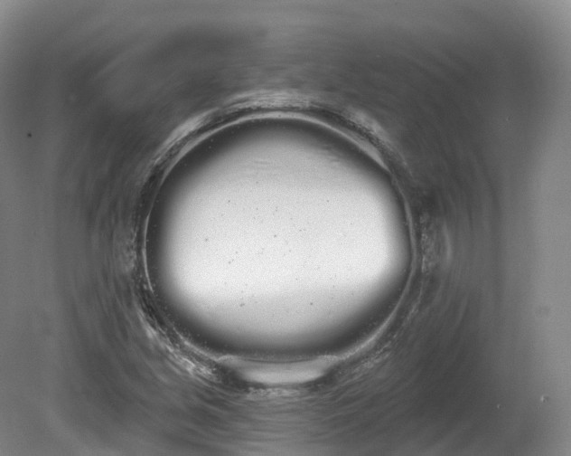 X0000080671213200612221108