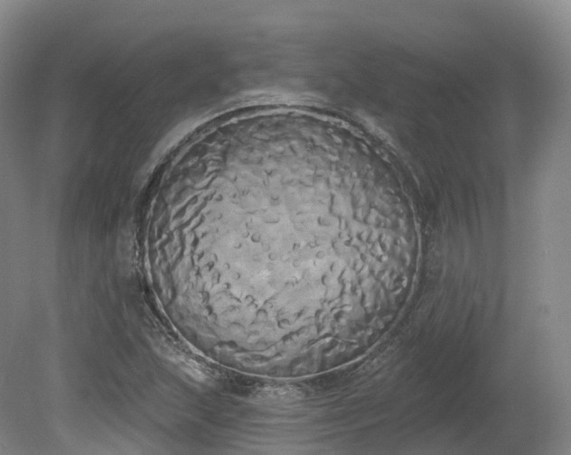 X0000080671215200612221108