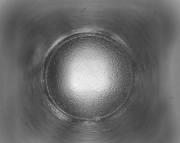 X0000080671216200612221108