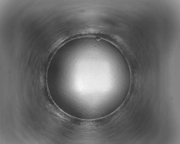 X0000080671217200612221108