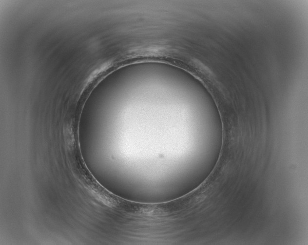 X0000080671218200612221108