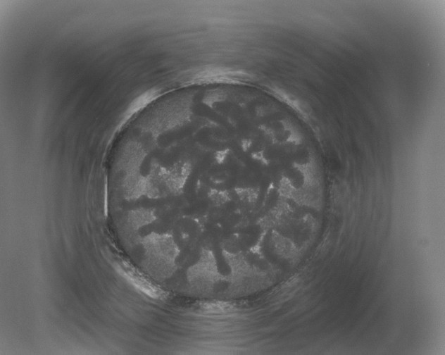 X0000080671219200612221108