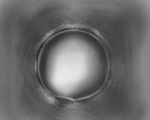 X0000080671221200612221108