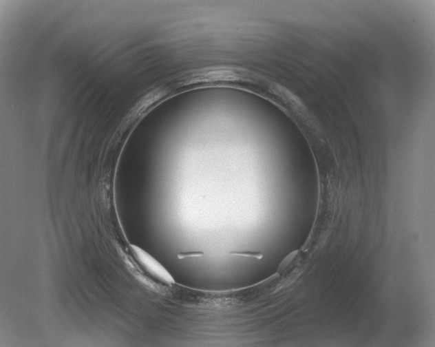 X0000080671225200612221108