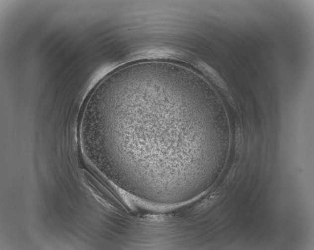 X0000080671226200612221108