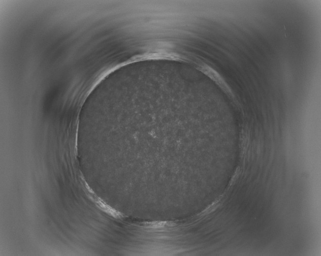 X0000080671228200612221108