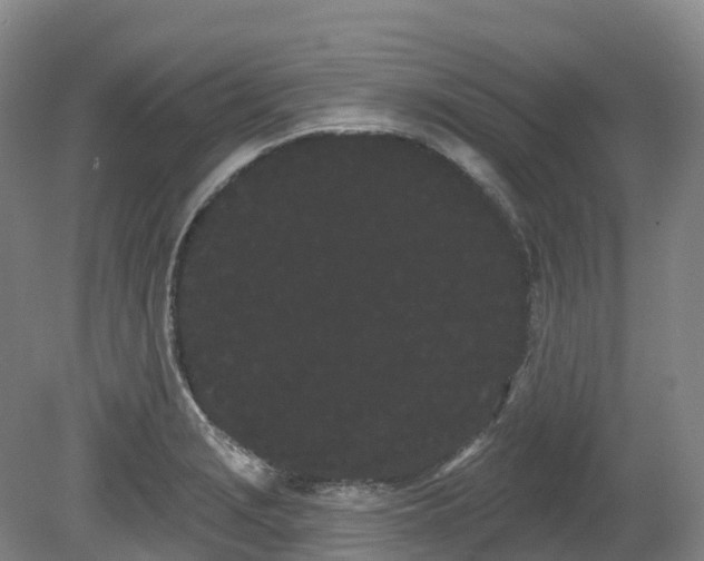 X0000080671229200612221108