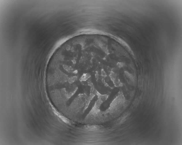 X0000080671231200612221108