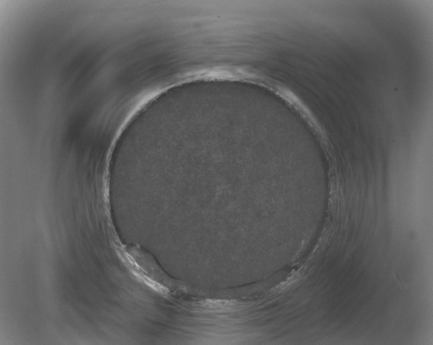 X0000080671232200612221108