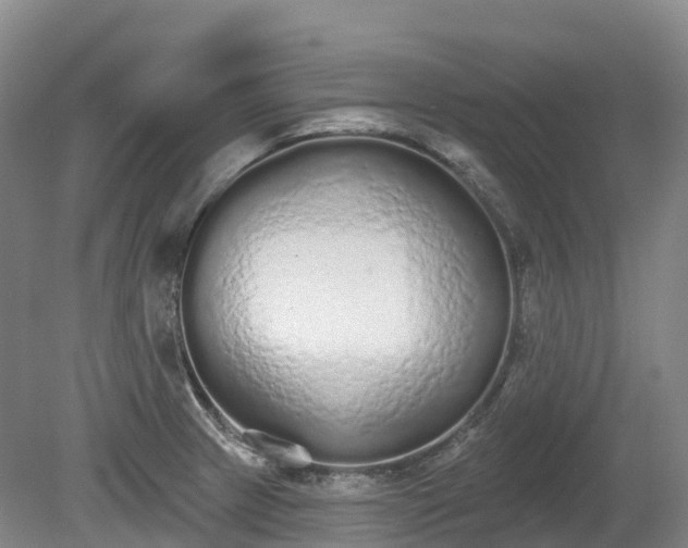 X0000080671233200612221108