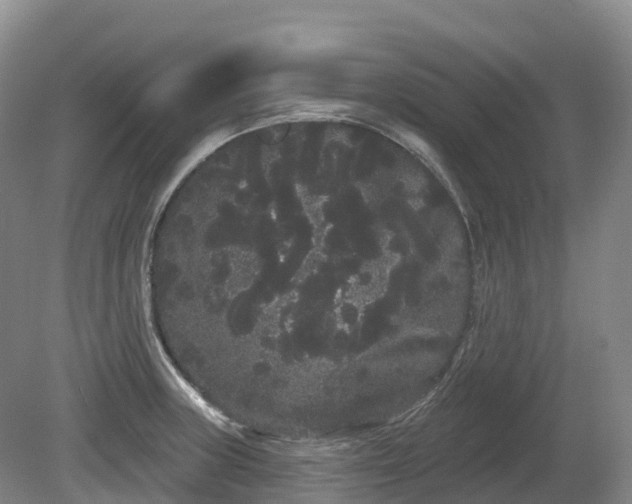 X0000080671235200612221108