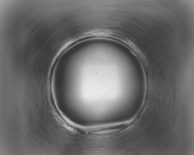 X0000080671240200612221108