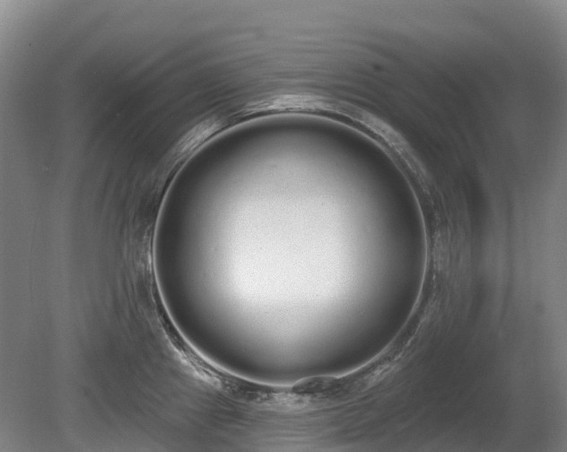 X0000080671241200612221108