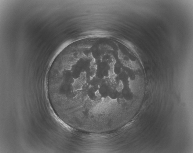 X0000080671243200612221108